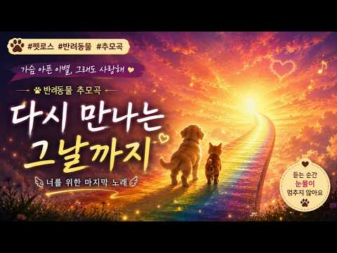 고양이 이별