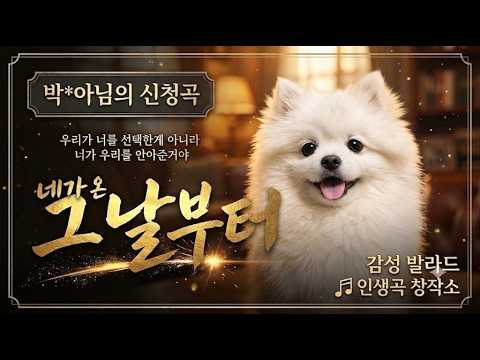 네가 온 그날부터